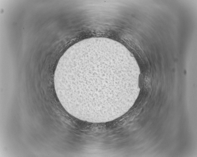 X0000088580865200706221314