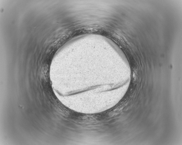 X0000088580867200706221314