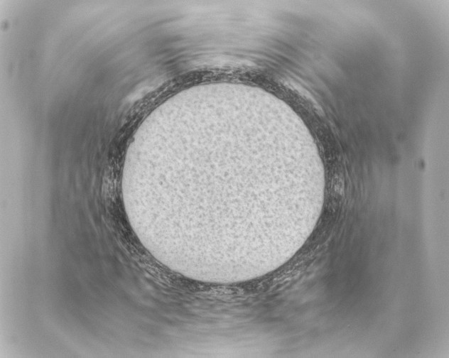 X0000088580869200706221314