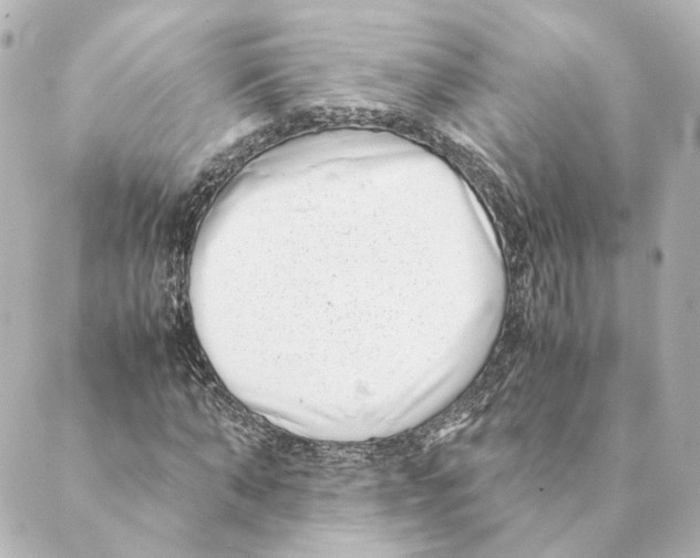 X0000088580870200706221314