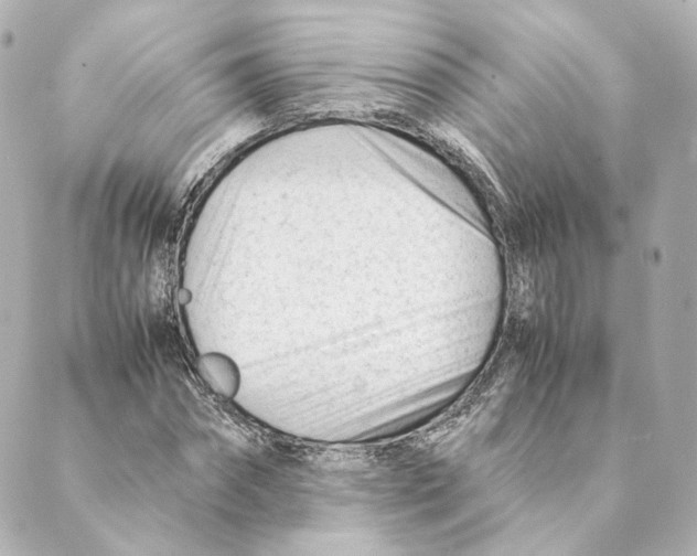 X0000088580874200706221313