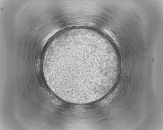 X0000088580875200706221313