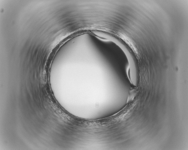 X0000088580876200706221313