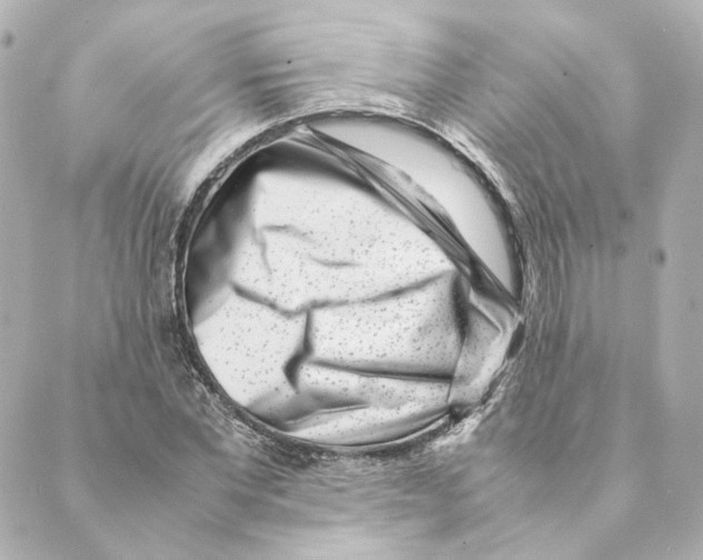 X0000088580877200706221313