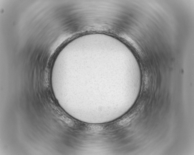 X0000088580878200706221313