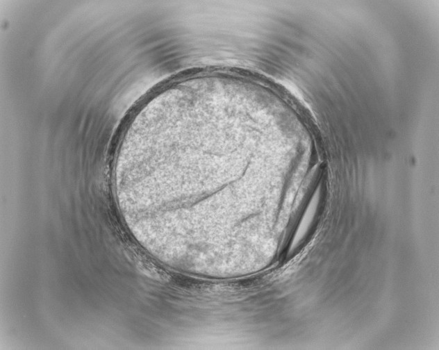 X0000088580879200706221313