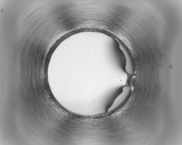 X0000088580880200706221313