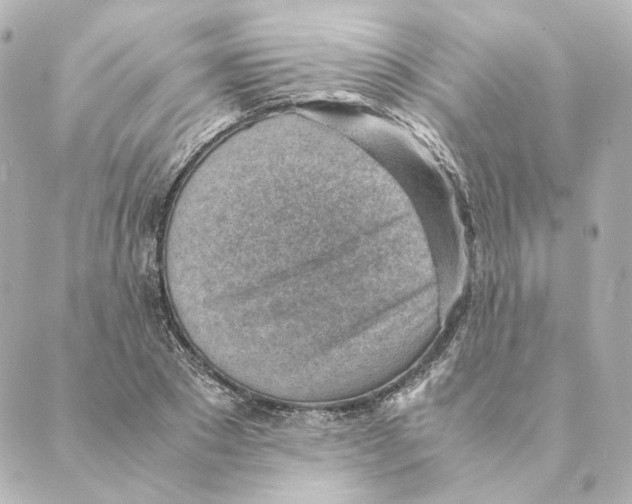 X0000088580881200706221313