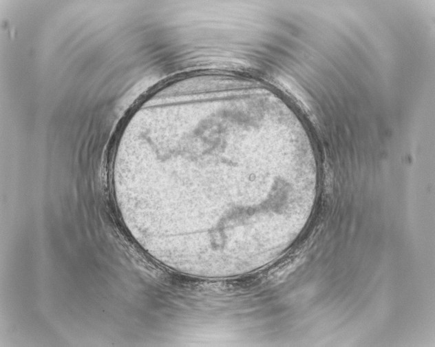 X0000088580883200706221313