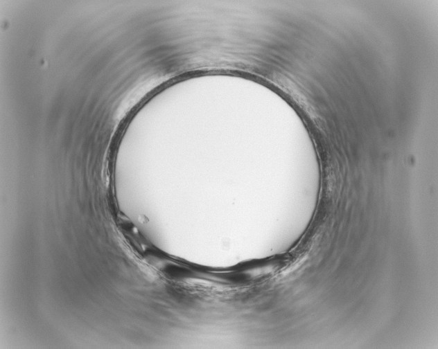 X0000088580885200706221313