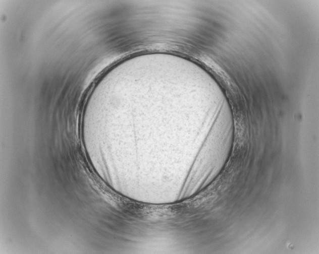 X0000088580886200706221313