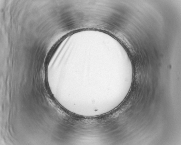 X0000088580888200706221313