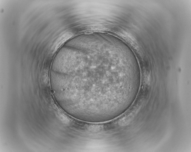 X0000088580889200706221313