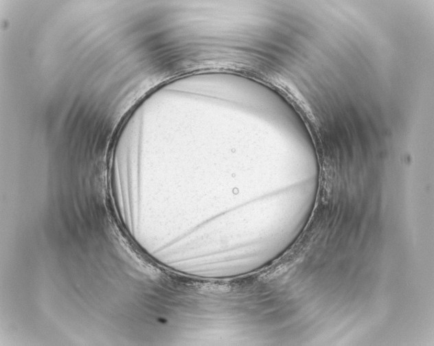 X0000088580890200706221313