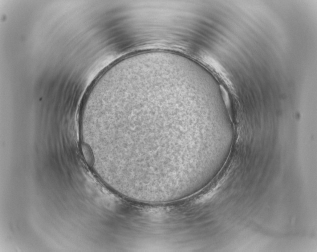 X0000088580892200706221313