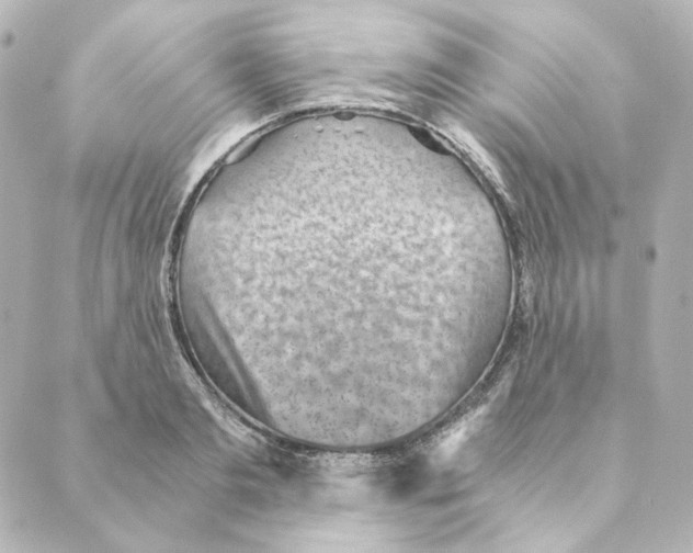 X0000088580893200706221313