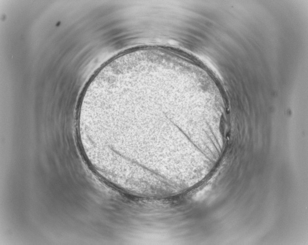 X0000088580895200706221313