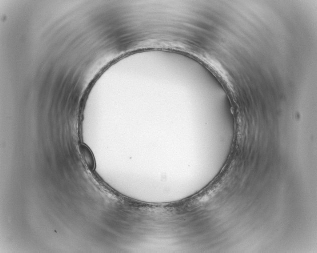 X0000088580896200706221313