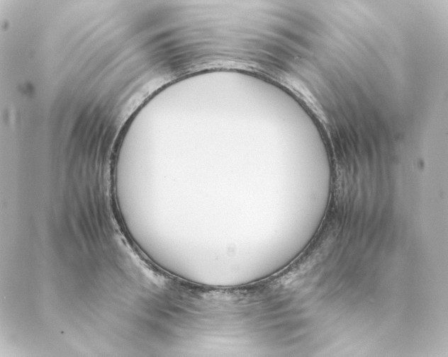 X0000088580898200706221313