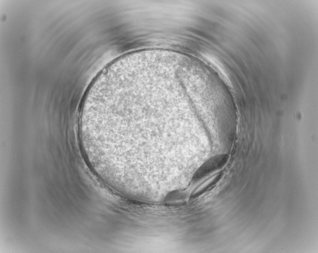 X0000088580899200706221313