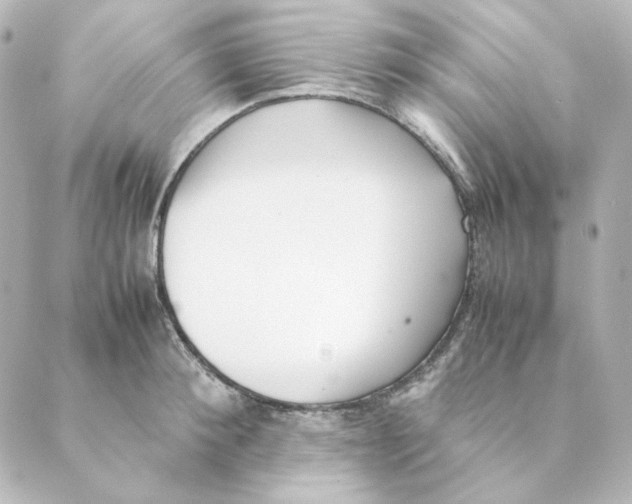 X0000088580900200706221313