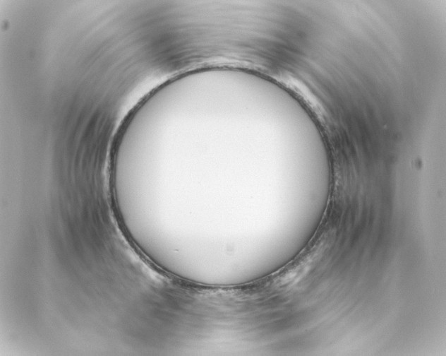 X0000088580902200706221313