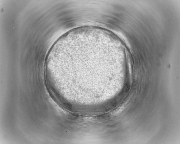 X0000088580903200706221313