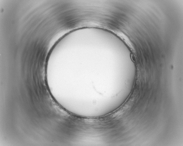 X0000088580904200706221313