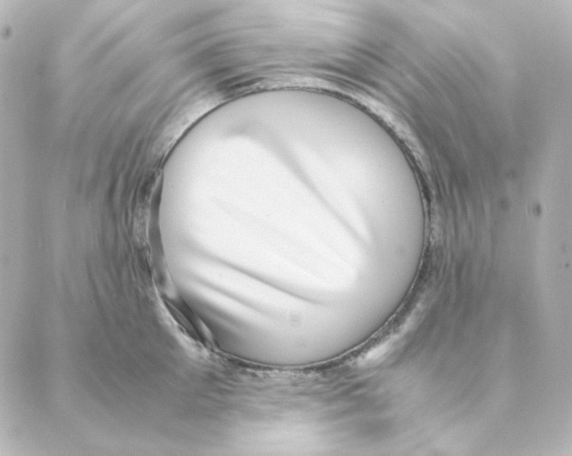 X0000088580905200706221313