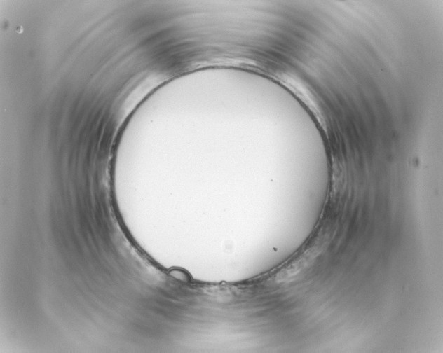 X0000088580906200706221313