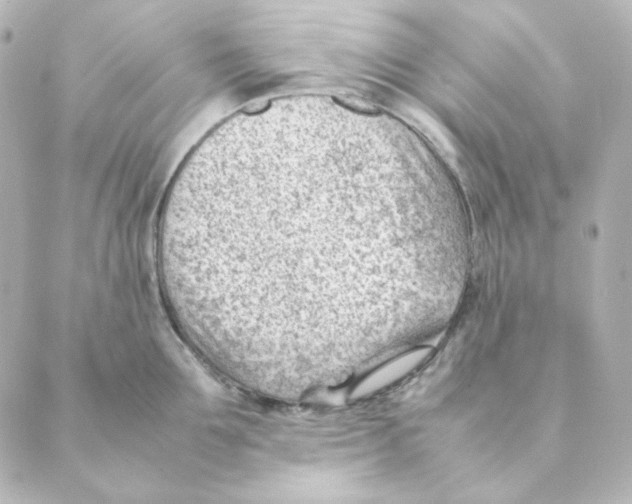 X0000088580907200706221313