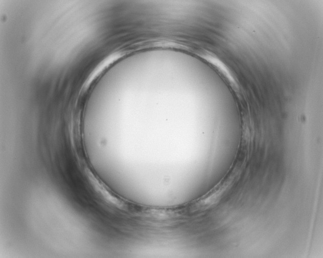 X0000088580910200706221313