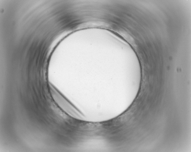 X0000088580912200706221313