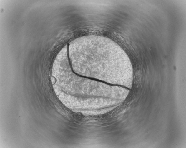 X0000088580913200706221312