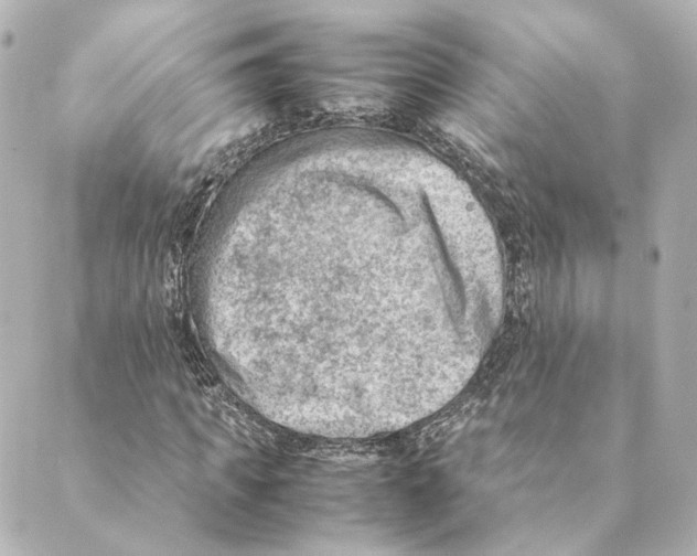 X0000088580917200706221312