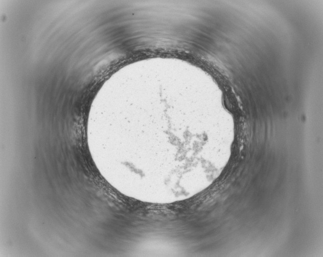 X0000088580918200706221312