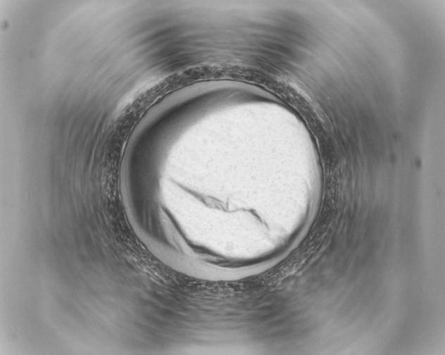 X0000088580919200706221312