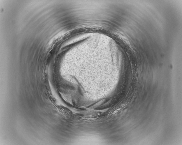 X0000088580920200706221312