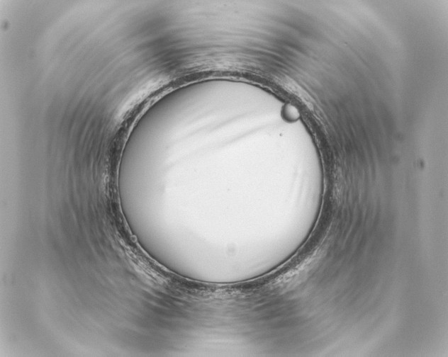 X0000088580922200706221312