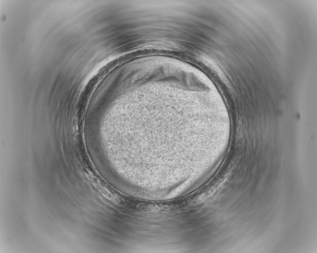 X0000088580923200706221312