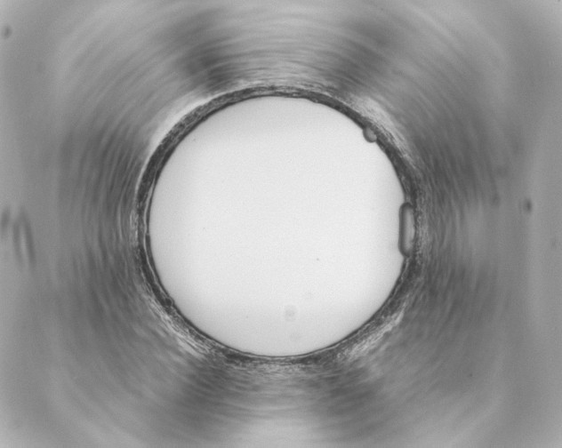 X0000088580924200706221312