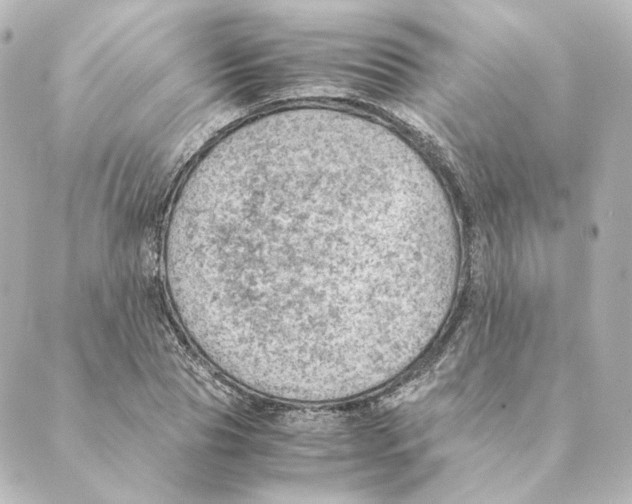 X0000088580929200706221312