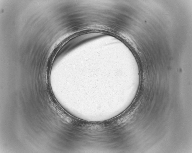 X0000088580931200706221312