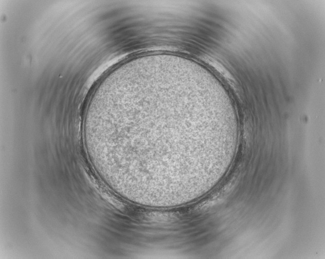 X0000088580933200706221312