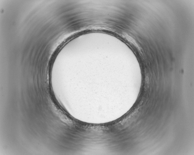 X0000088580934200706221312