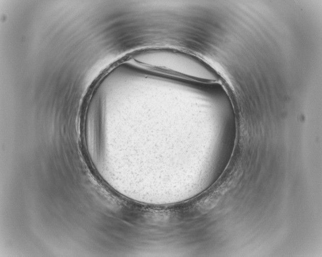 X0000088580935200706221312