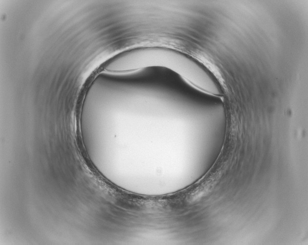 X0000088580936200706221312