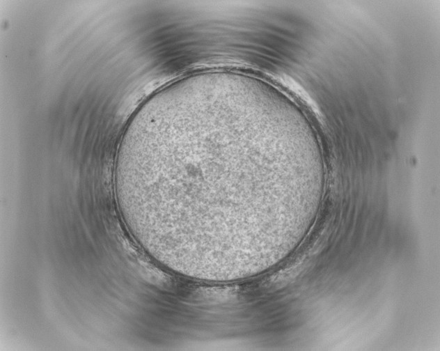 X0000088580937200706221312