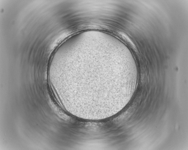 X0000088580938200706221312