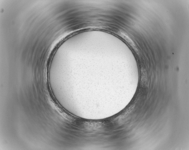 X0000088580939200706221313